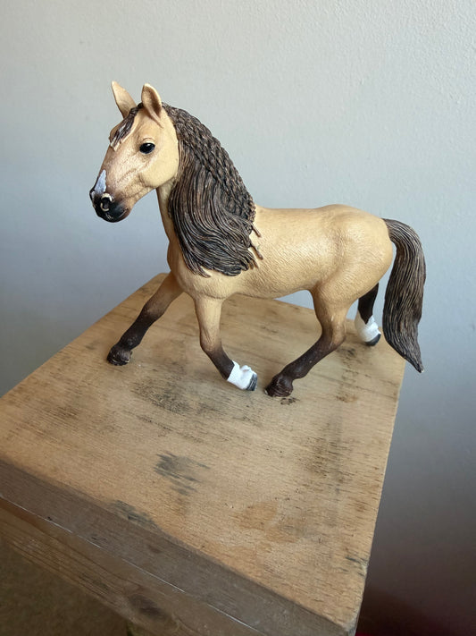 ✨Re-Loved Rockstar – Lusitano Stallion- Orlando✨