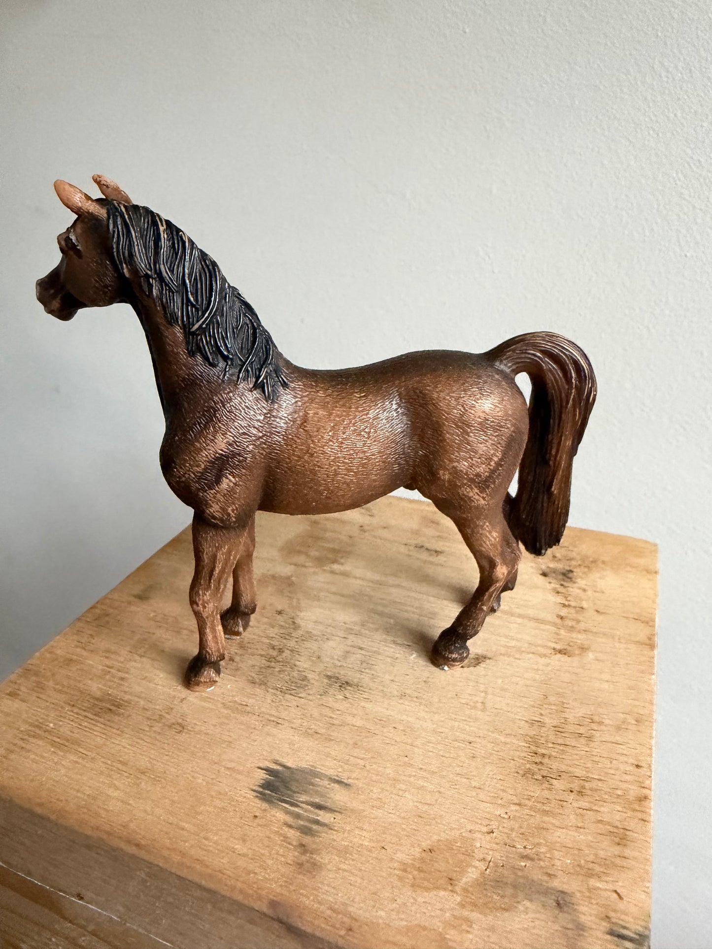 ✨Re-Loved Rockstar – Schleich Arabian Stallion- Tempo✨