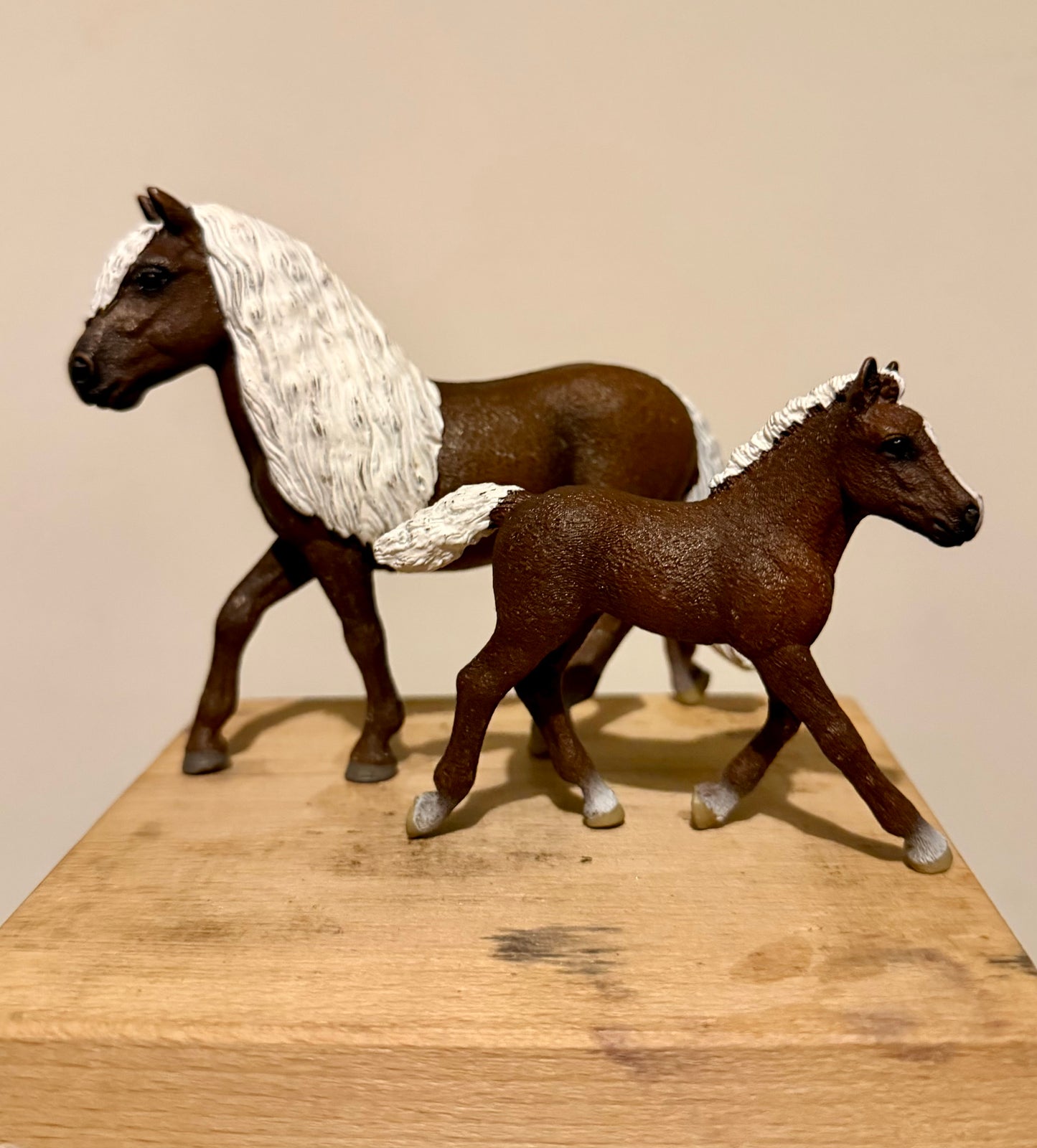 ✨Re-Loved Rockstar Black Forest Pony Mare & Foal