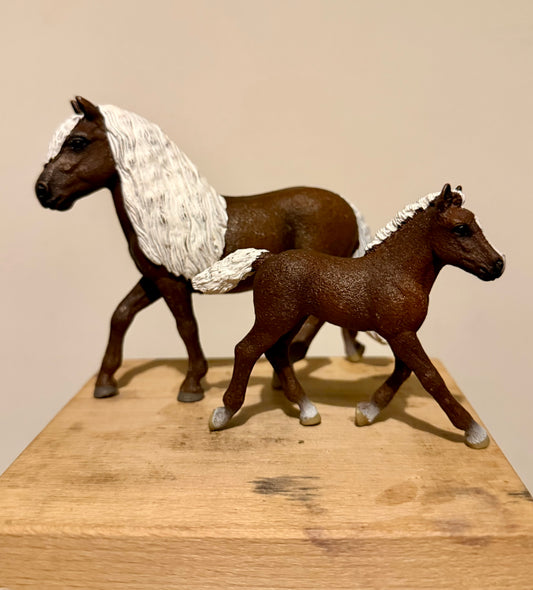 ✨Re-Loved Rockstar Black Forest Pony Mare & Foal