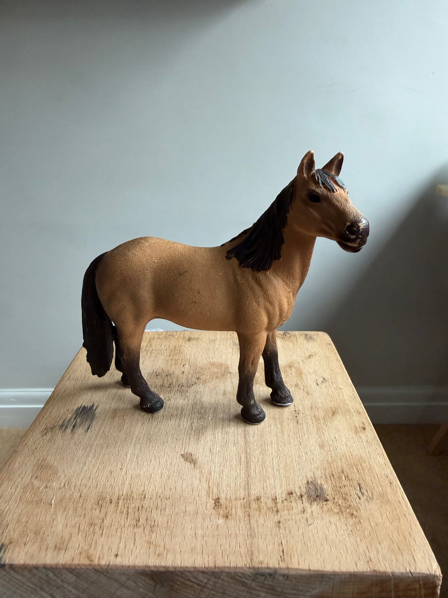 Re-Loved Rockstar: Mustang Mare - Fable
