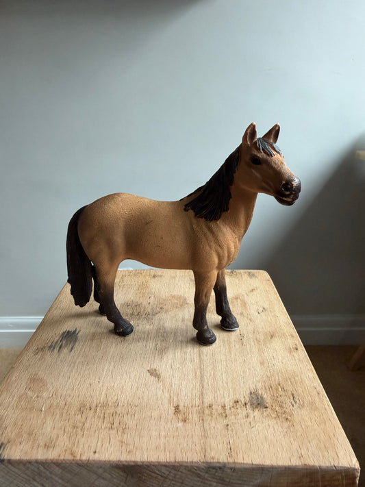 Re-Loved Rockstar: Mustang Mare - Fable
