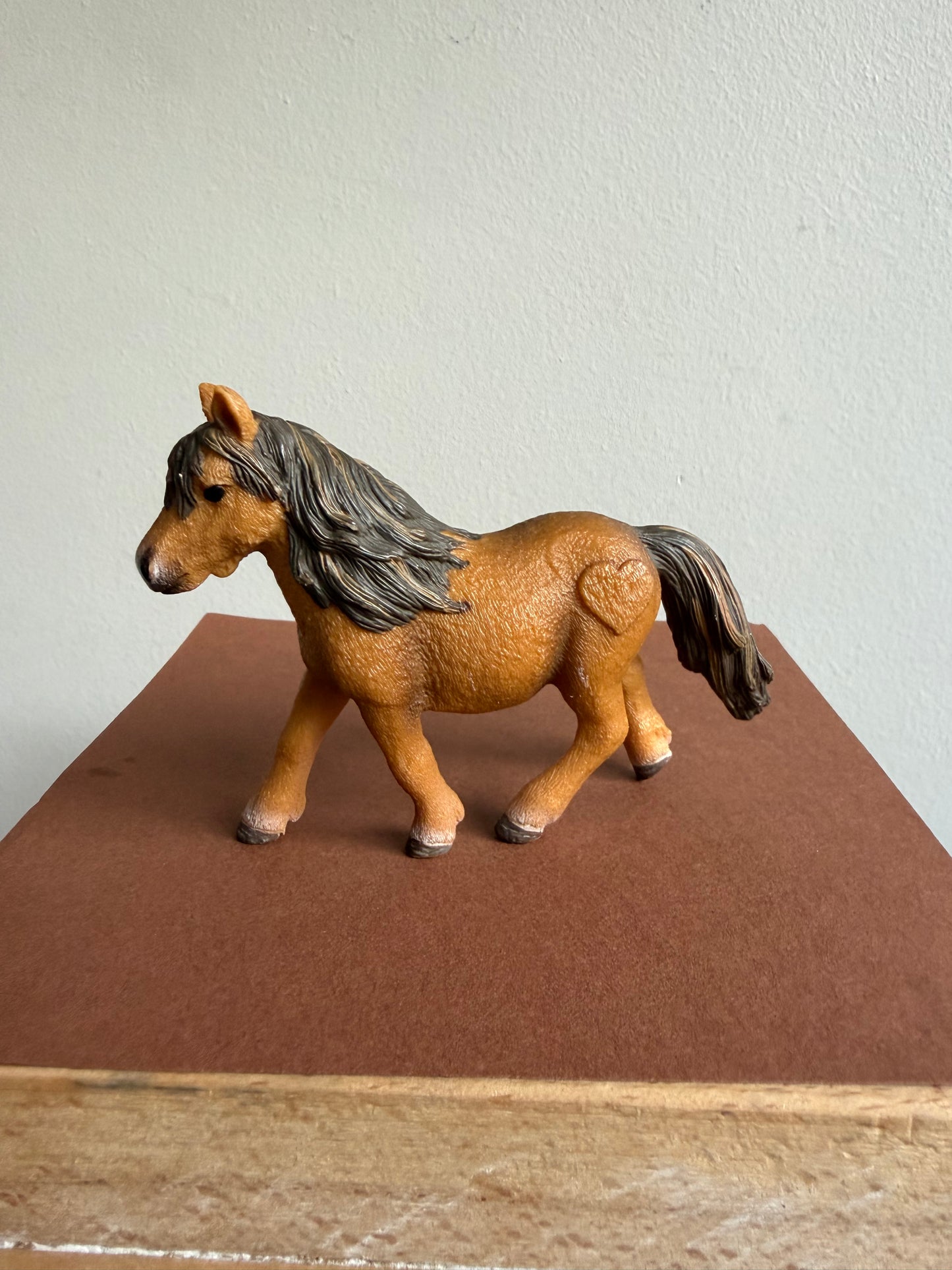 ✨Re-Loved Rockstar Shetland Pony Mare  ✨Piper