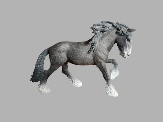 ✨Re-Loved Rockstar Shire – Titan ✨