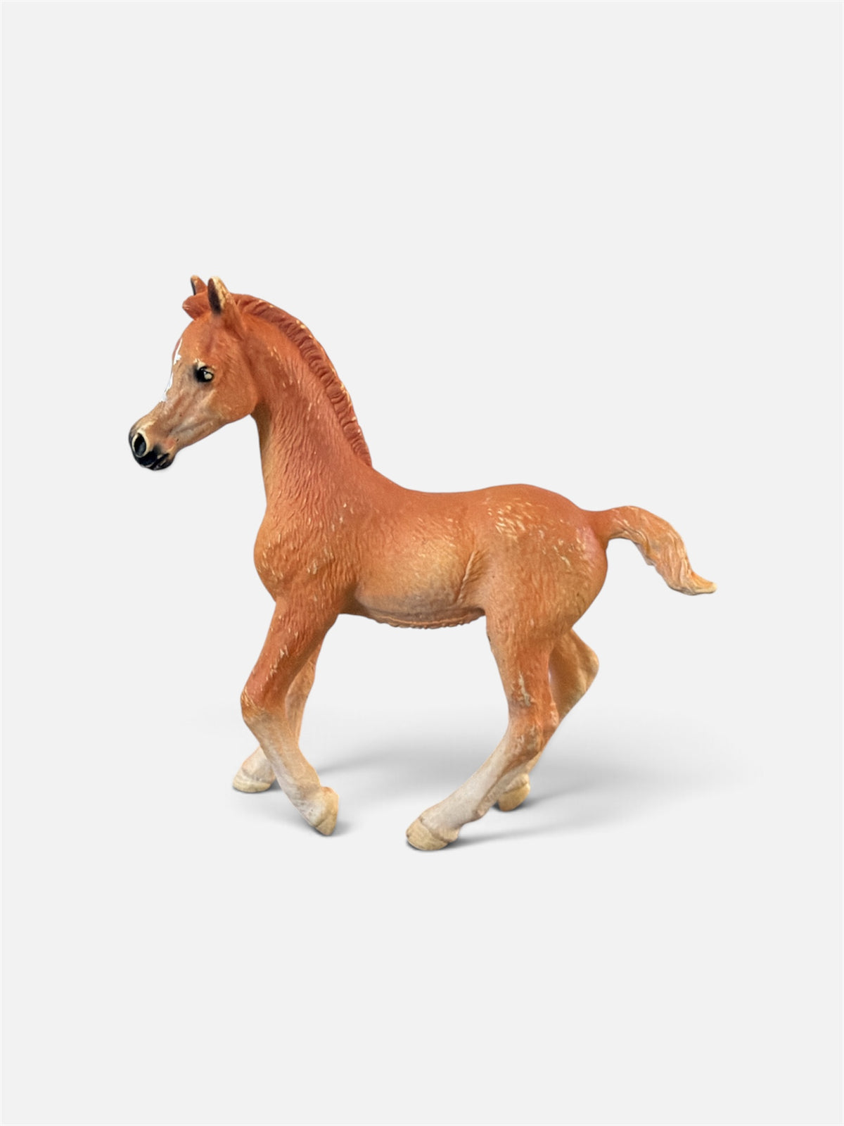 ✨ Re-Loved Rockstar Arabian Foal –Twinkle ✨