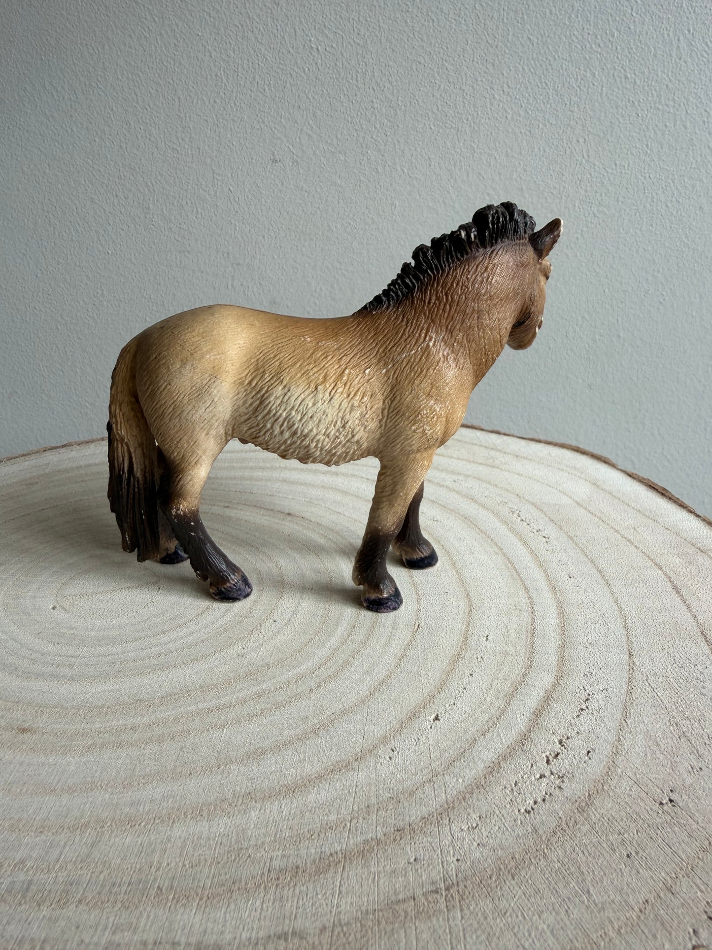 Re-Loved Rockstar: Przewalski's Mare