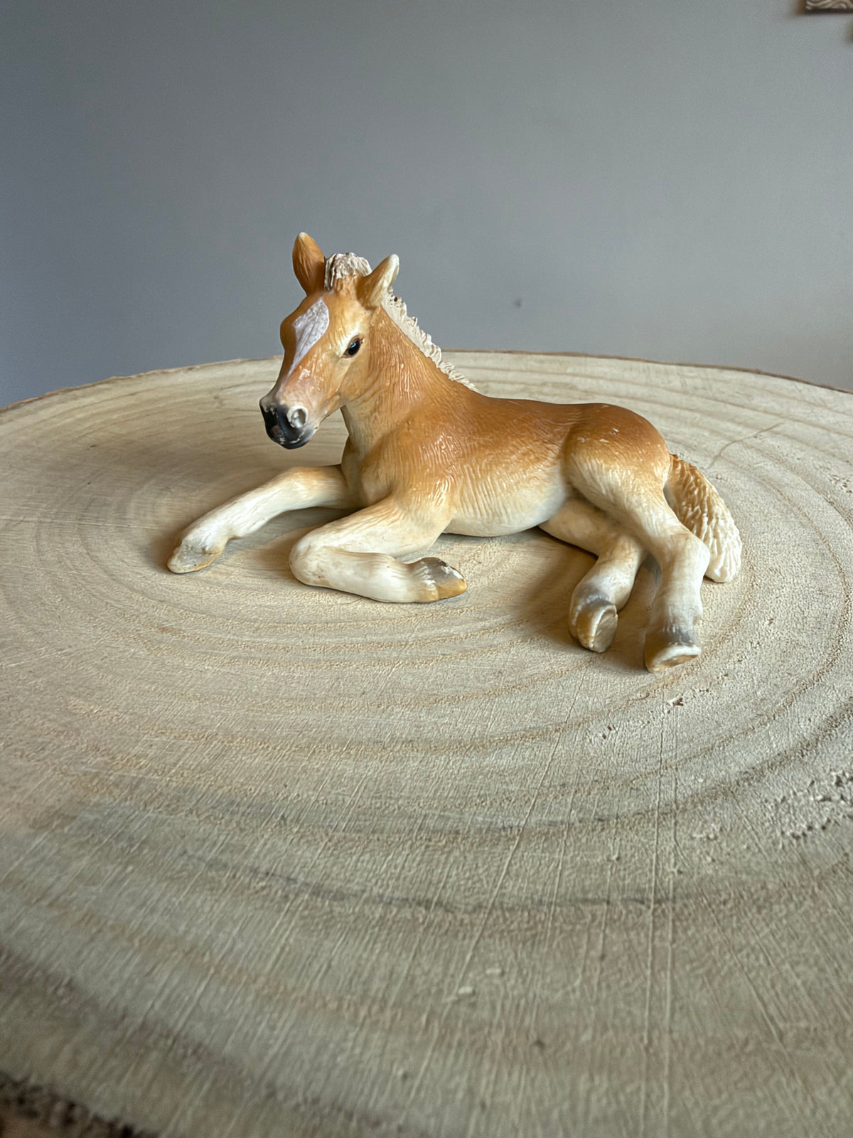 ✨Re-Loved Rockstar  – Haflinger Foal ✨Sugar ‘04