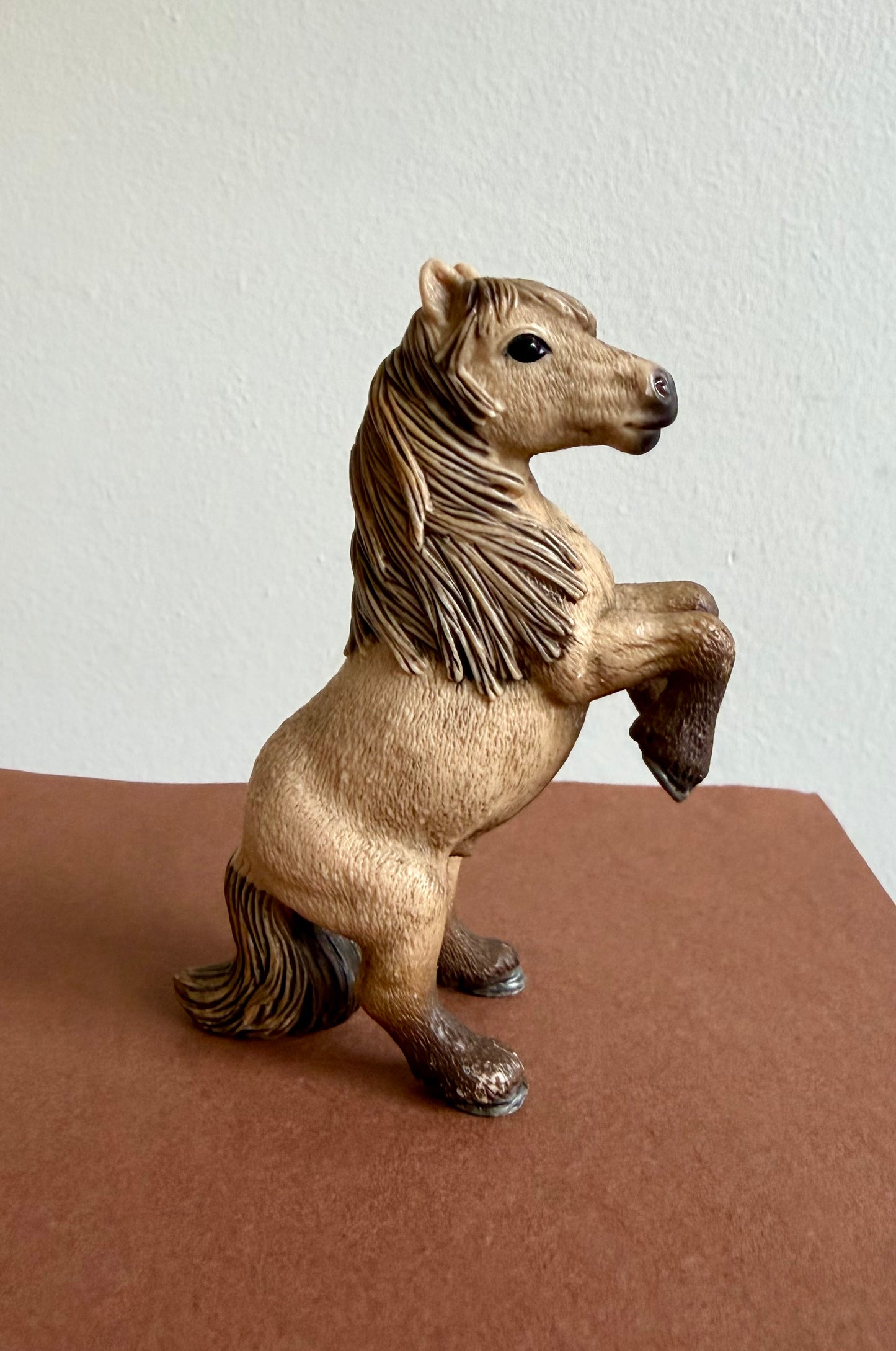 ✨Re-Loved Rockstar Miniature Shetland Pony Stallion– Joey