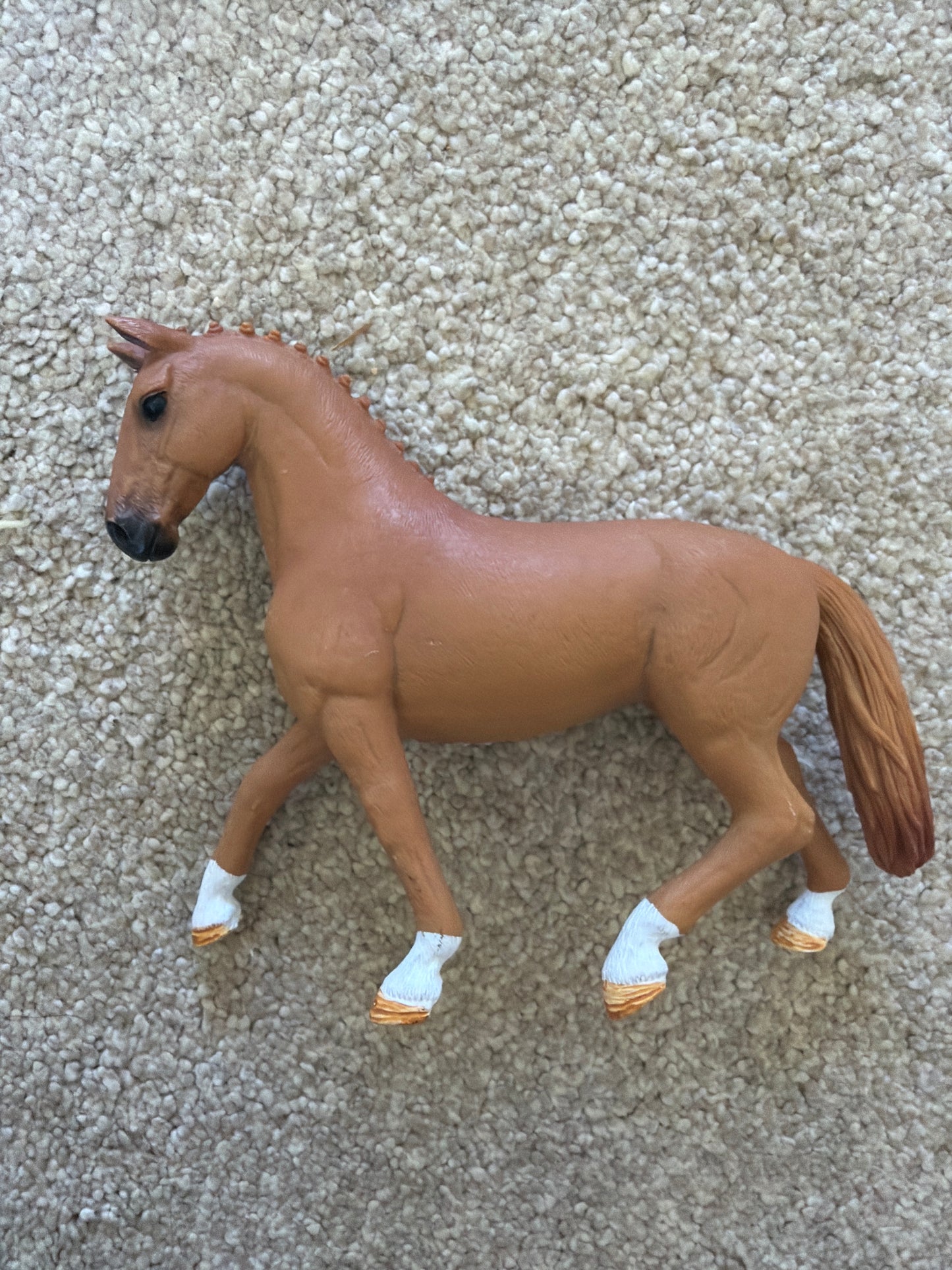 Re-Loved Rockstar: Hanoverian- Rosie