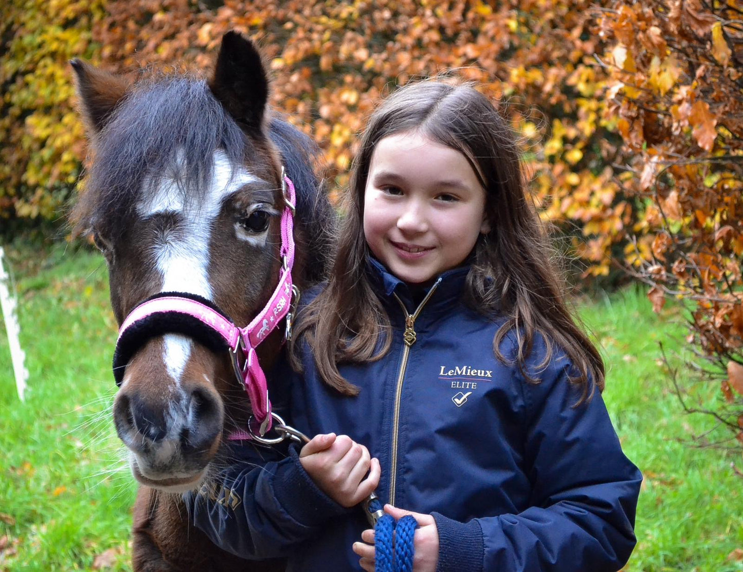 Rock Star Rocking Horse Head Collar - Electric Pink