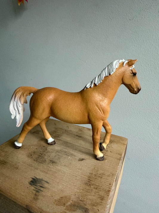 ✨Re-Loved Rockstar  – Trakehner Gelding ✨ Rafael