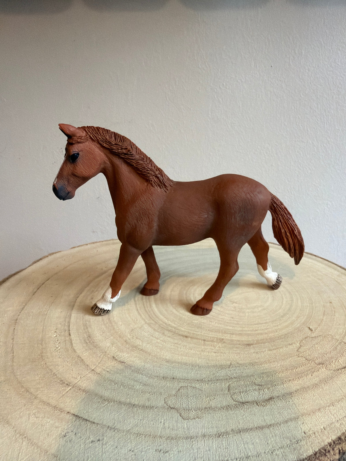 ✨ Re-Loved Rockstar Appaloosa Mare- No Spots – Autumn✨