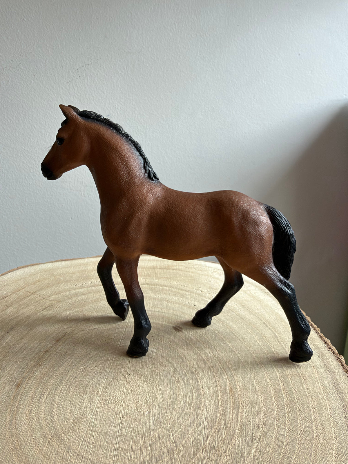Re-Loved Rockstar: Pura Raza Gelding - Lorenzo