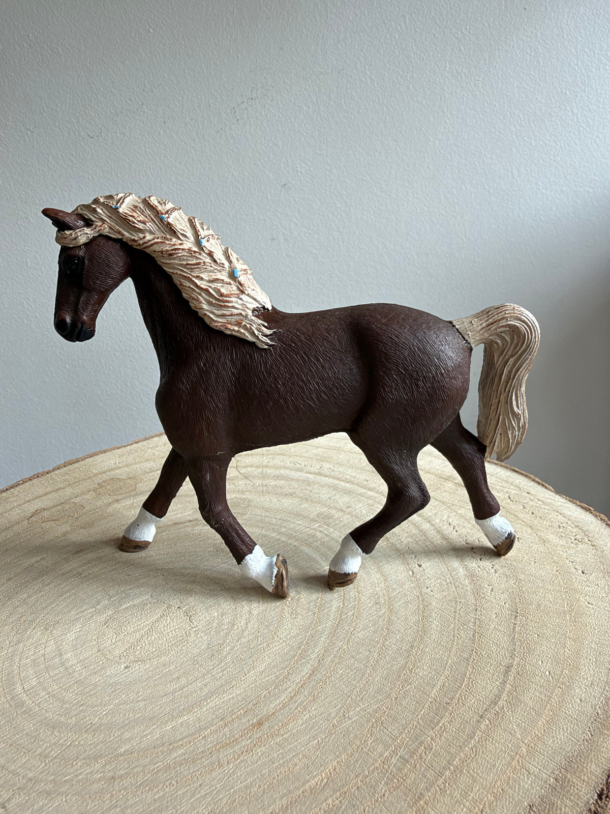 ✨Re-Loved Rockstar – Holsteiner Mare - Luna 2017