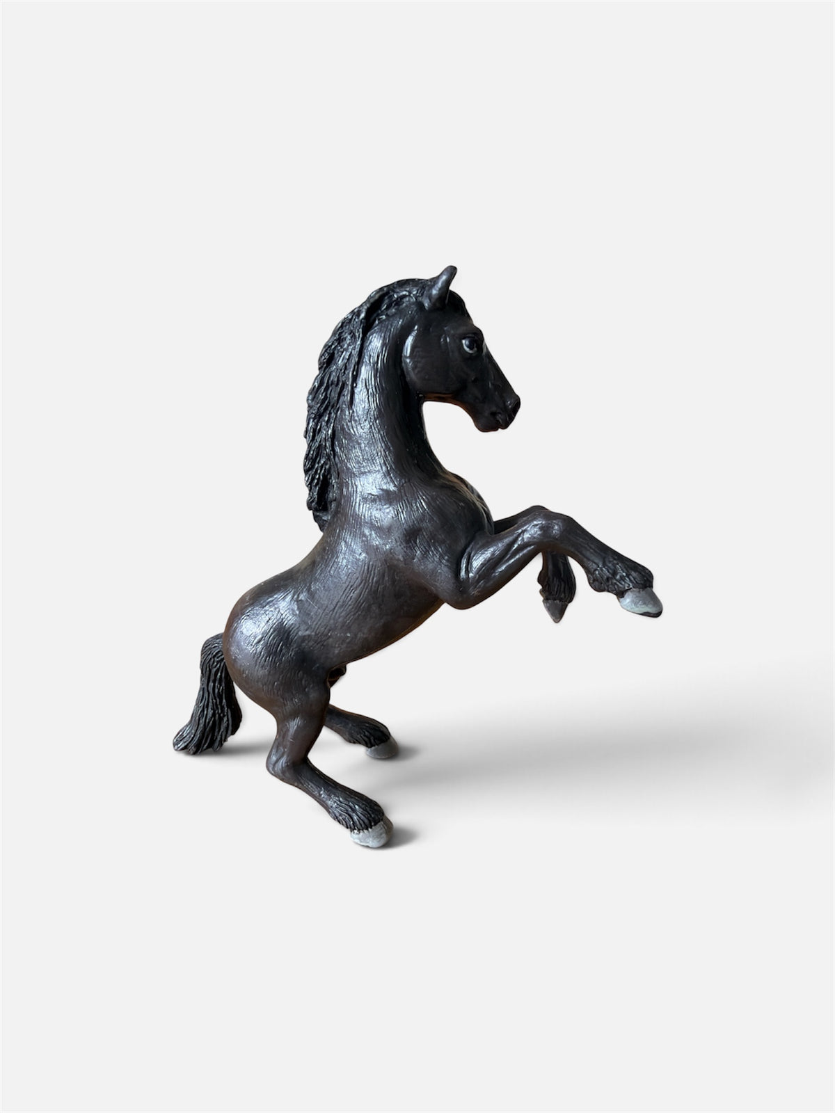 Re-Loved Rockstar: Marwari Stallion -Arjun (Copy)