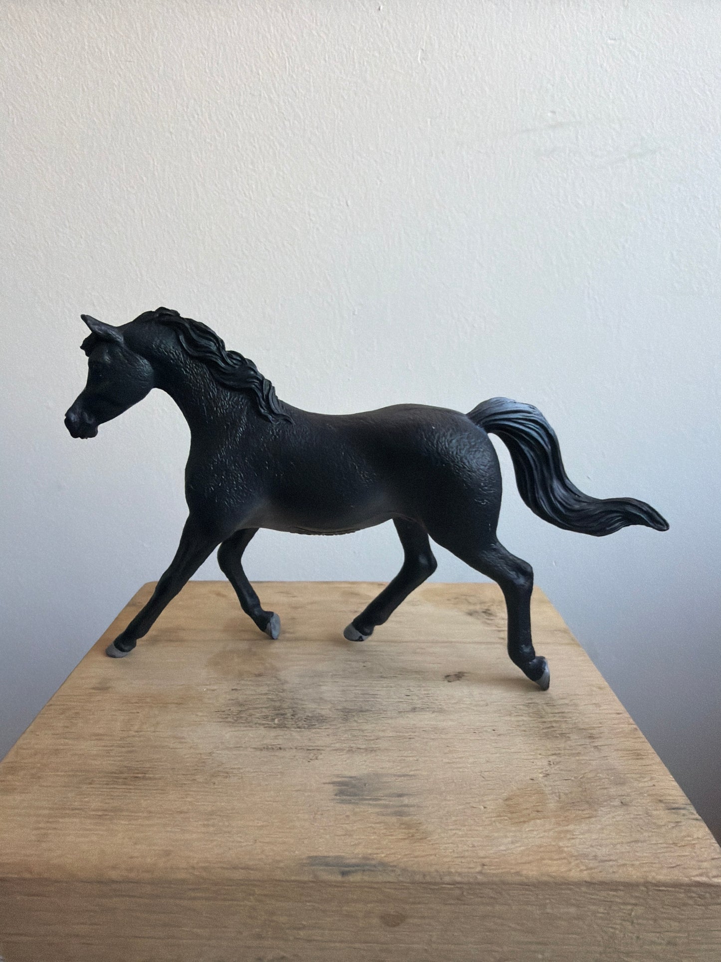 ✨Re-Loved Rockstar Arabian Stallion – Enigma✨