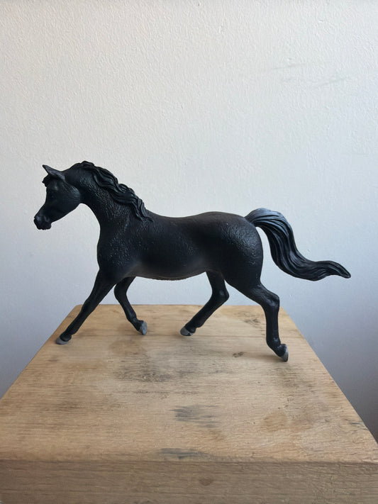 ✨Re-Loved Rockstar Arabian Stallion – Enigma✨