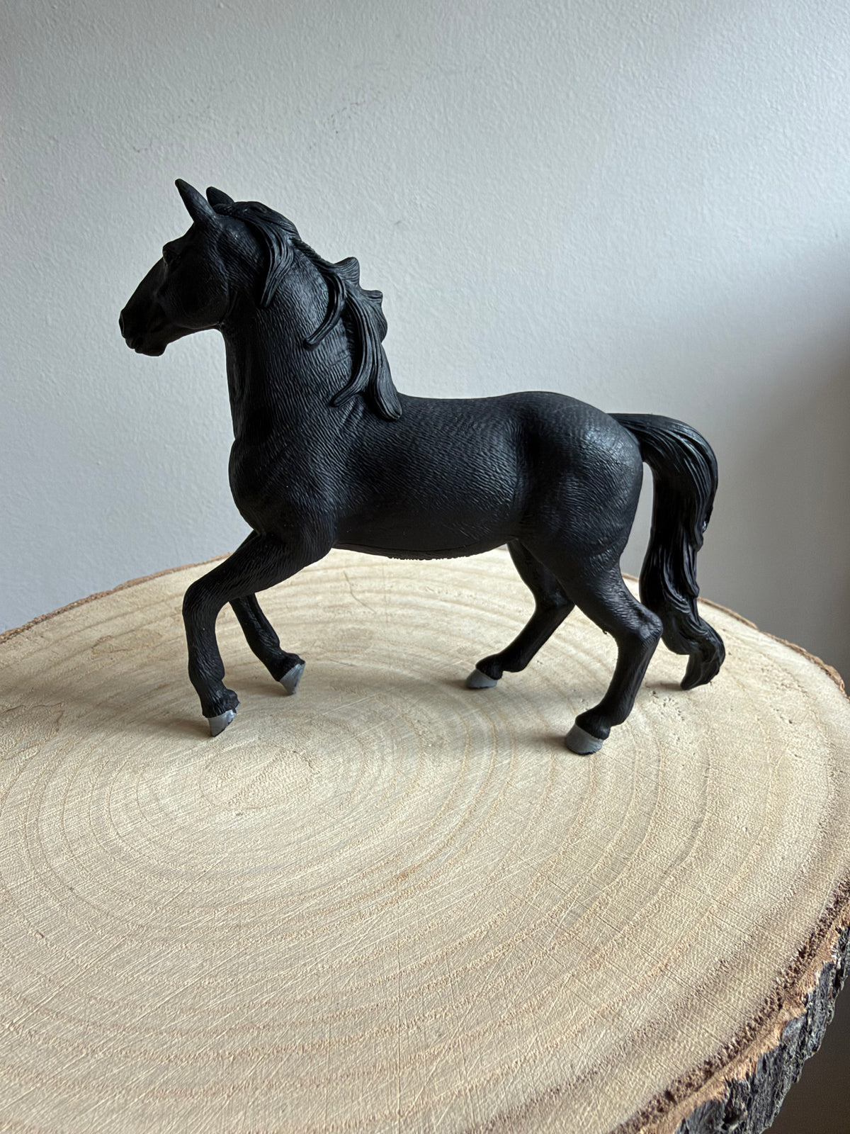 ✨Re-Loved Rockstar – Lusitano Stallion- Dante ‘26✨