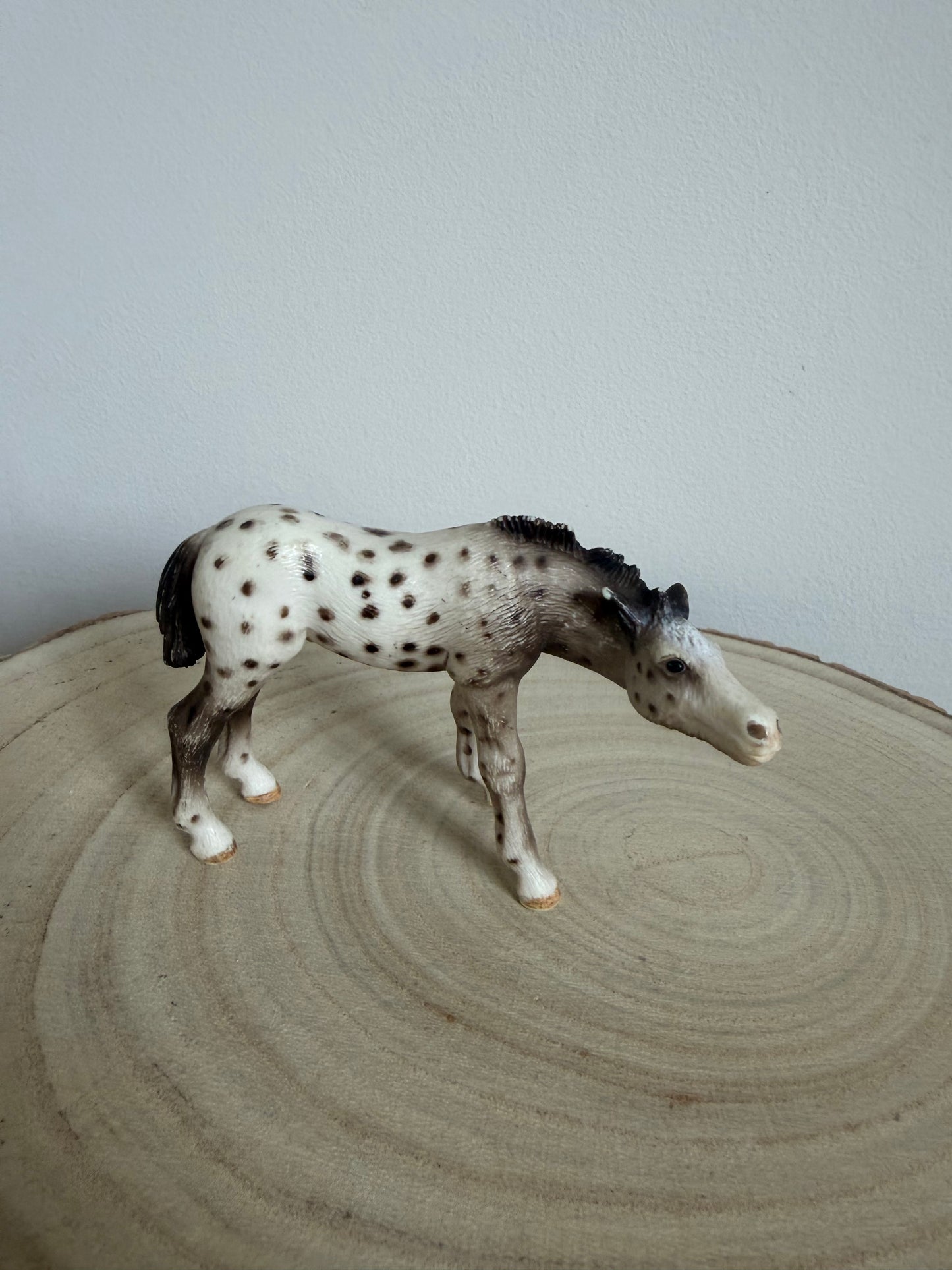 ✨ Re-Loved Rockstar Knabstrupper Foal Retired–✨