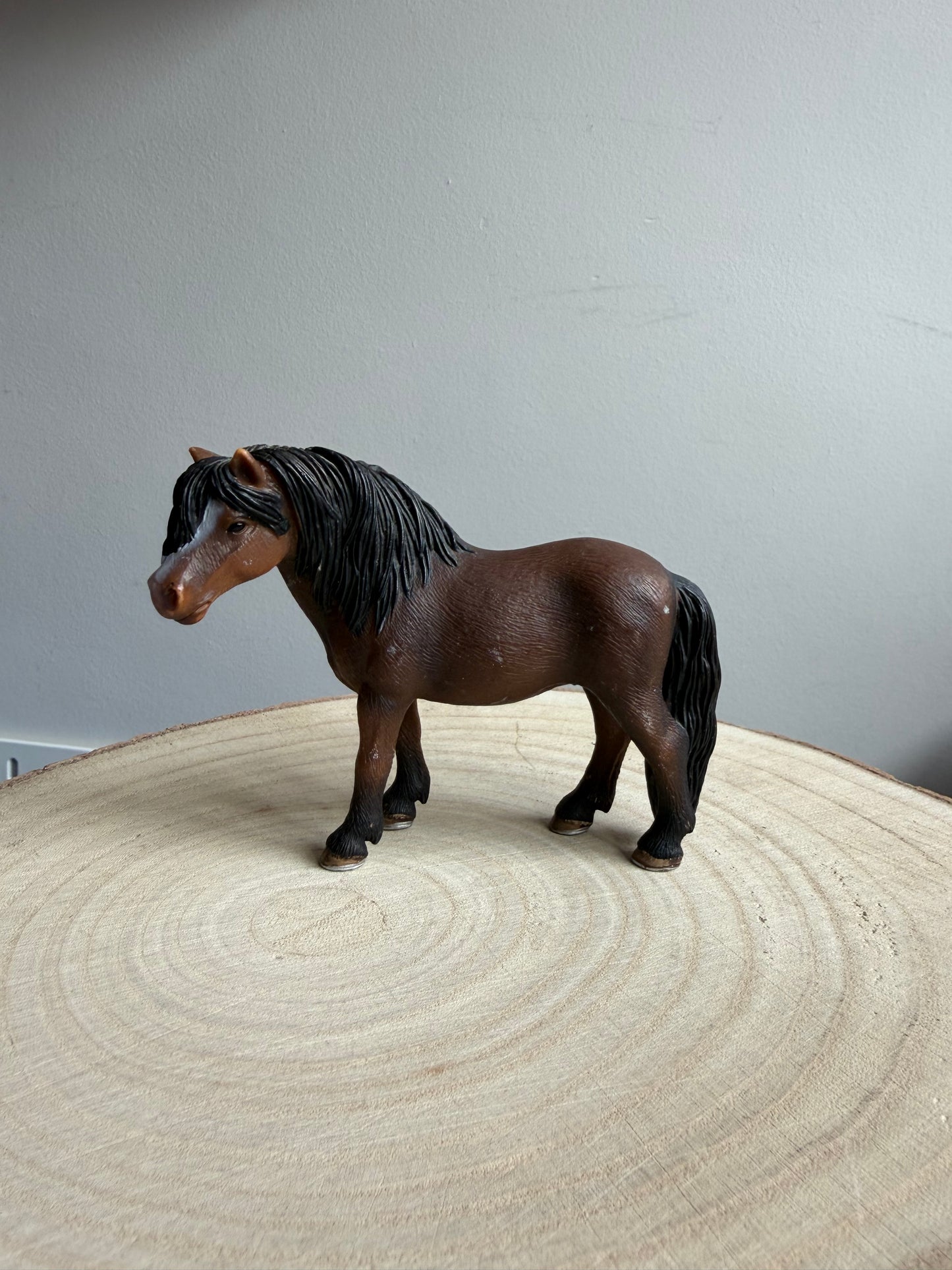 ✨Re-Loved Rockstar Welsh Mare – 2008✨ (Copy)