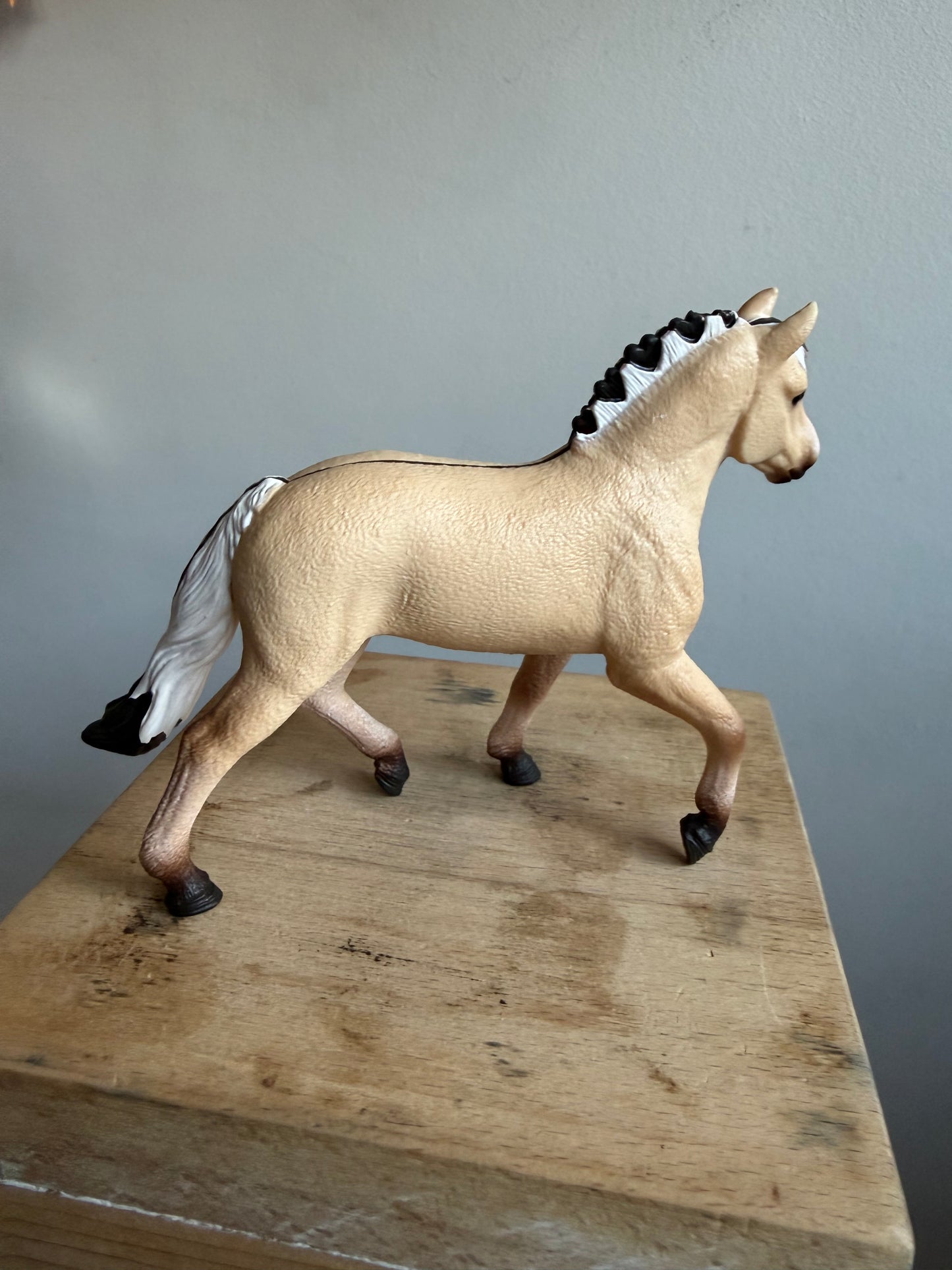 ✨Re-Loved Rockstar Norwegian Fjord Mare – Hannah