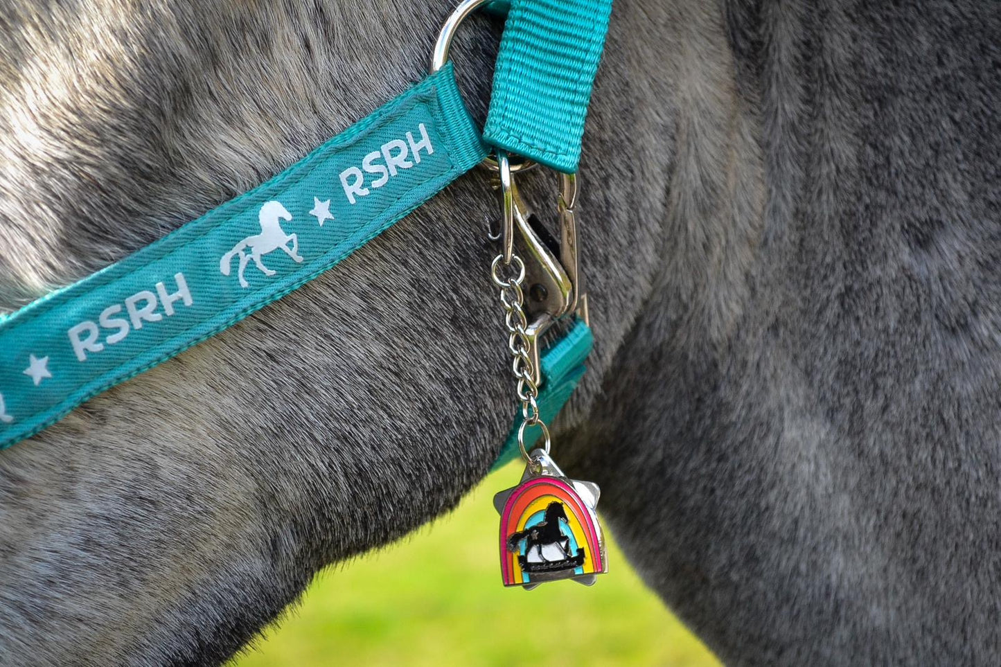 Rock Star Rocking Horse Head Collar - Rebel Teal