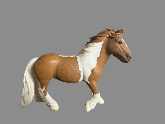 ✨Re-Loved Rockstar Tinker Mare – Molly ✨