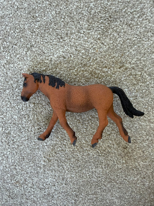 ✨Re-Loved Rockstar Bashkir Curly Mare