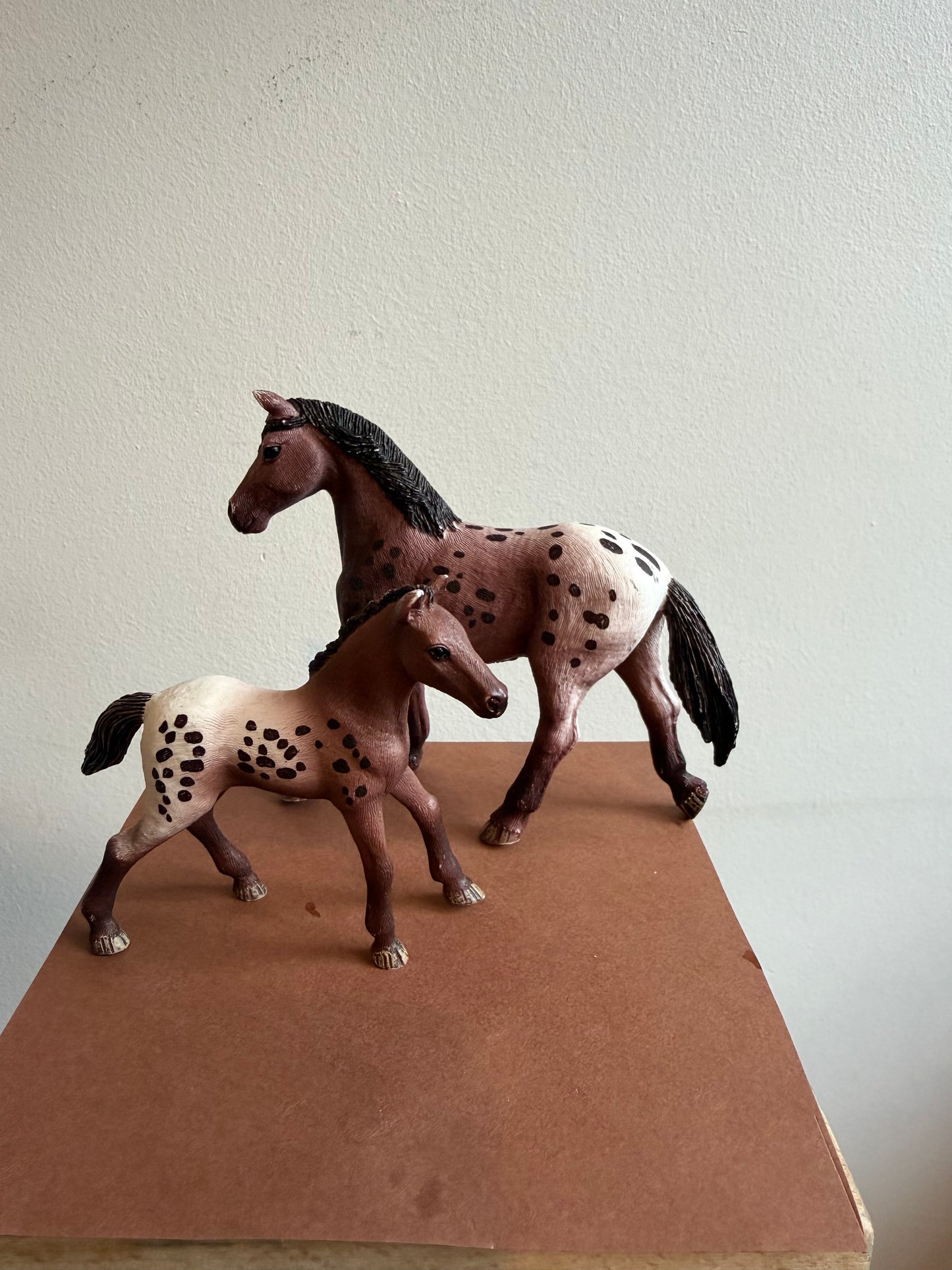 ✨Re-Loved Rockstar Appaloosa Mare & Foal–