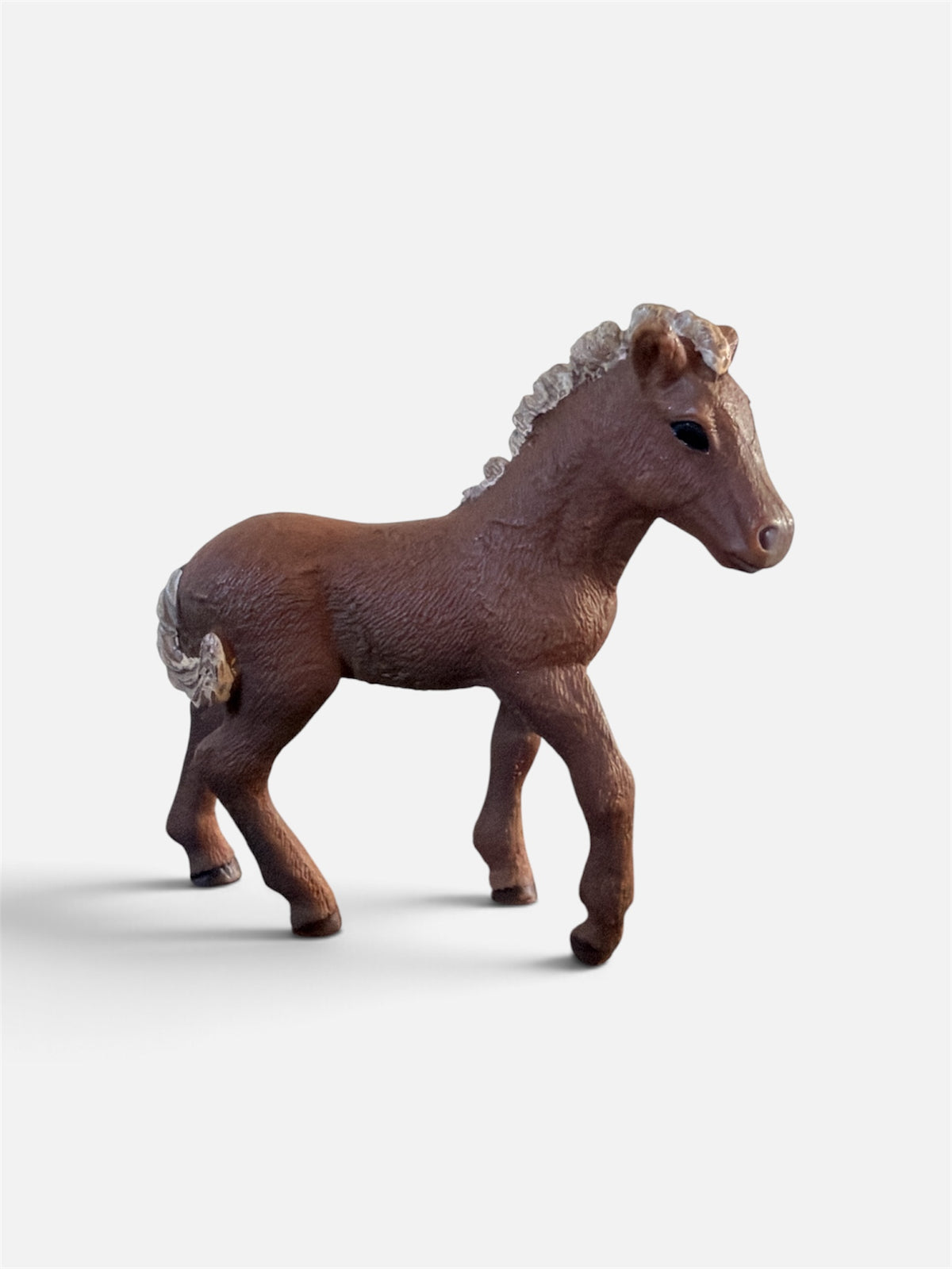 ✨ Re-Loved Rockstar Icelandic Foal – Toffee✨