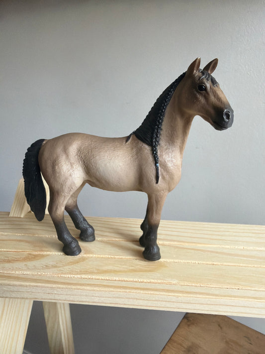 ✨Re-Loved Rockstar Criollo Mare – Beau✨