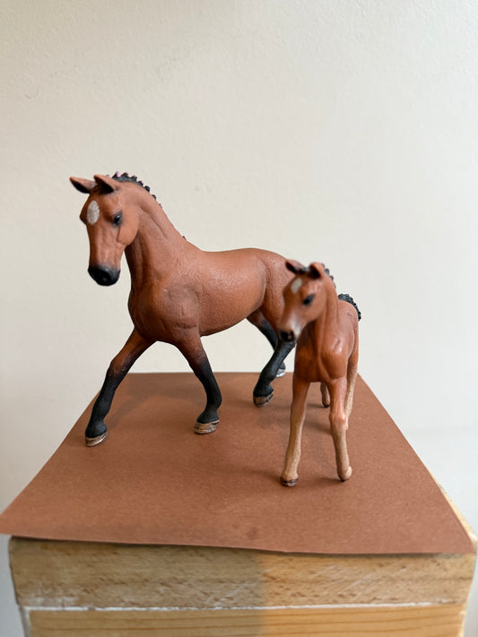 ✨Re-Loved Rockstar Hanoverian Mare & Foal