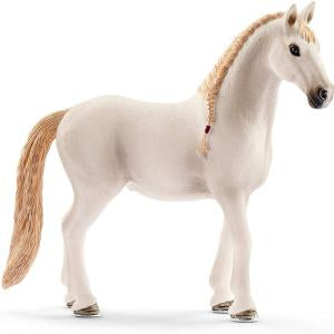 ✨Re-Loved Rockstar Lusitano– Hope