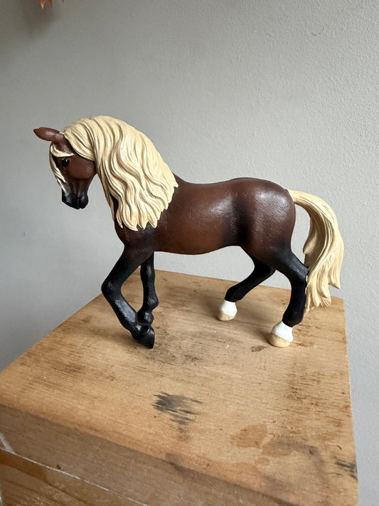 ✨Re-Loved Rockstar – Peruvian Paso Stallion- Donatello✨