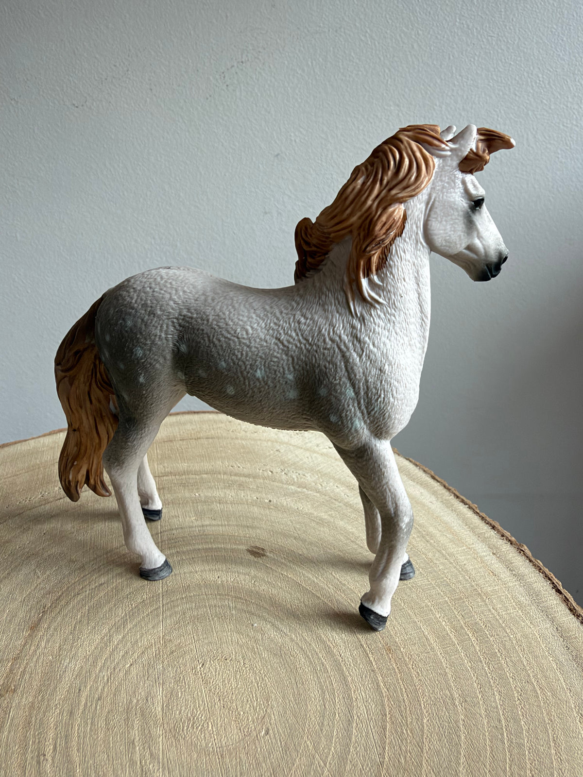 ✨Re-Loved Rockstar Andalusian Stallion– Apollo ‘24✨