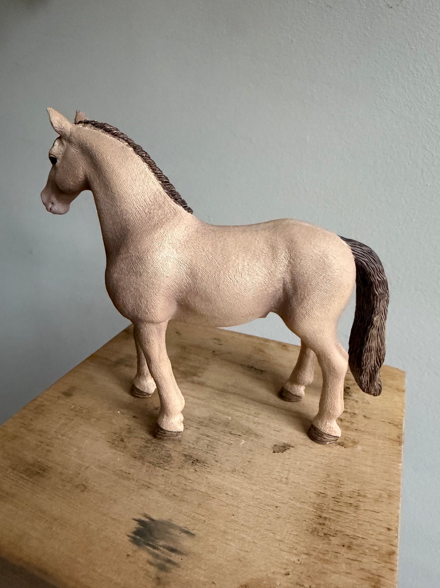 ✨Re-Loved Rockstar – Lusitano mare- Odette✨
