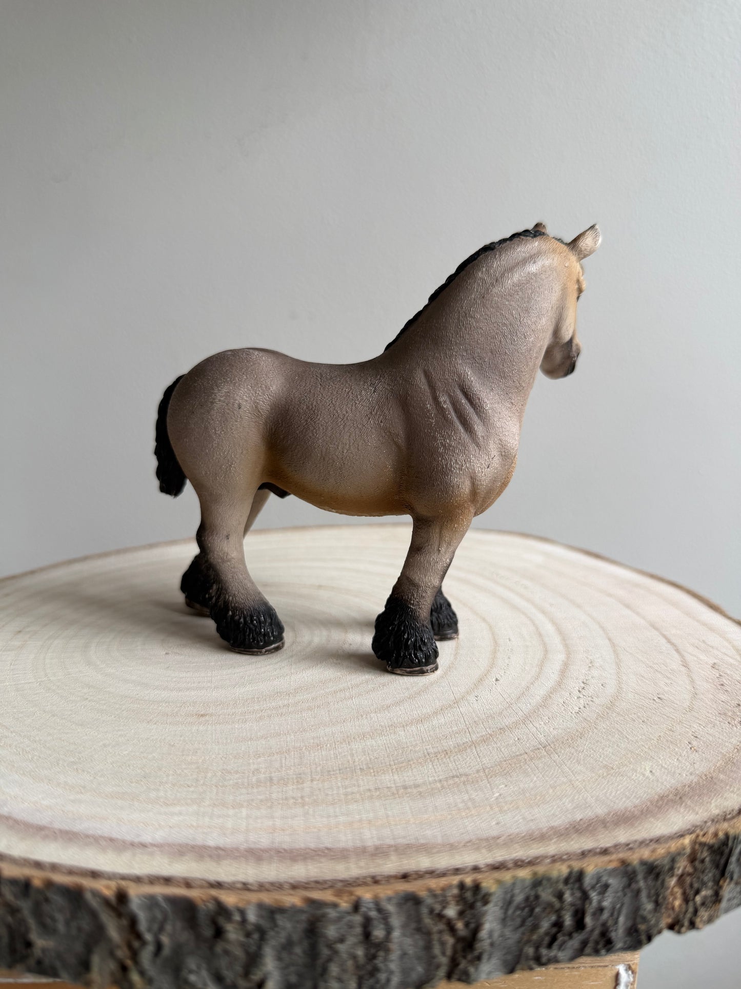 Re-Loved Rockstar: Ardennes Stallion