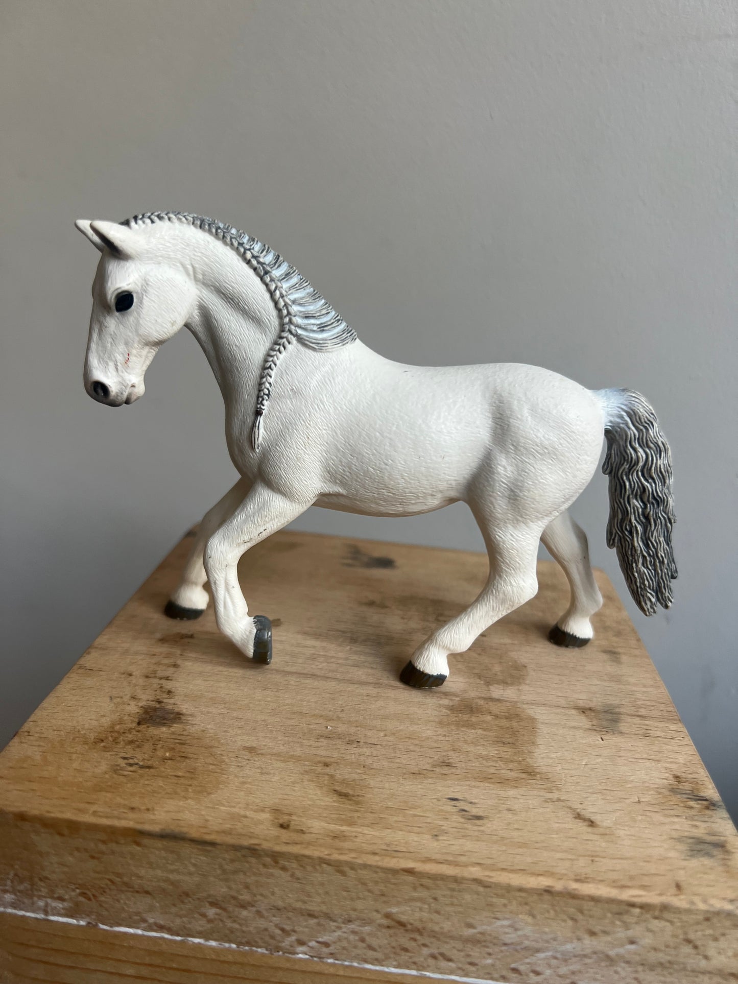 ✨Re-Loved Rockstar Lipizzaner– Suzy