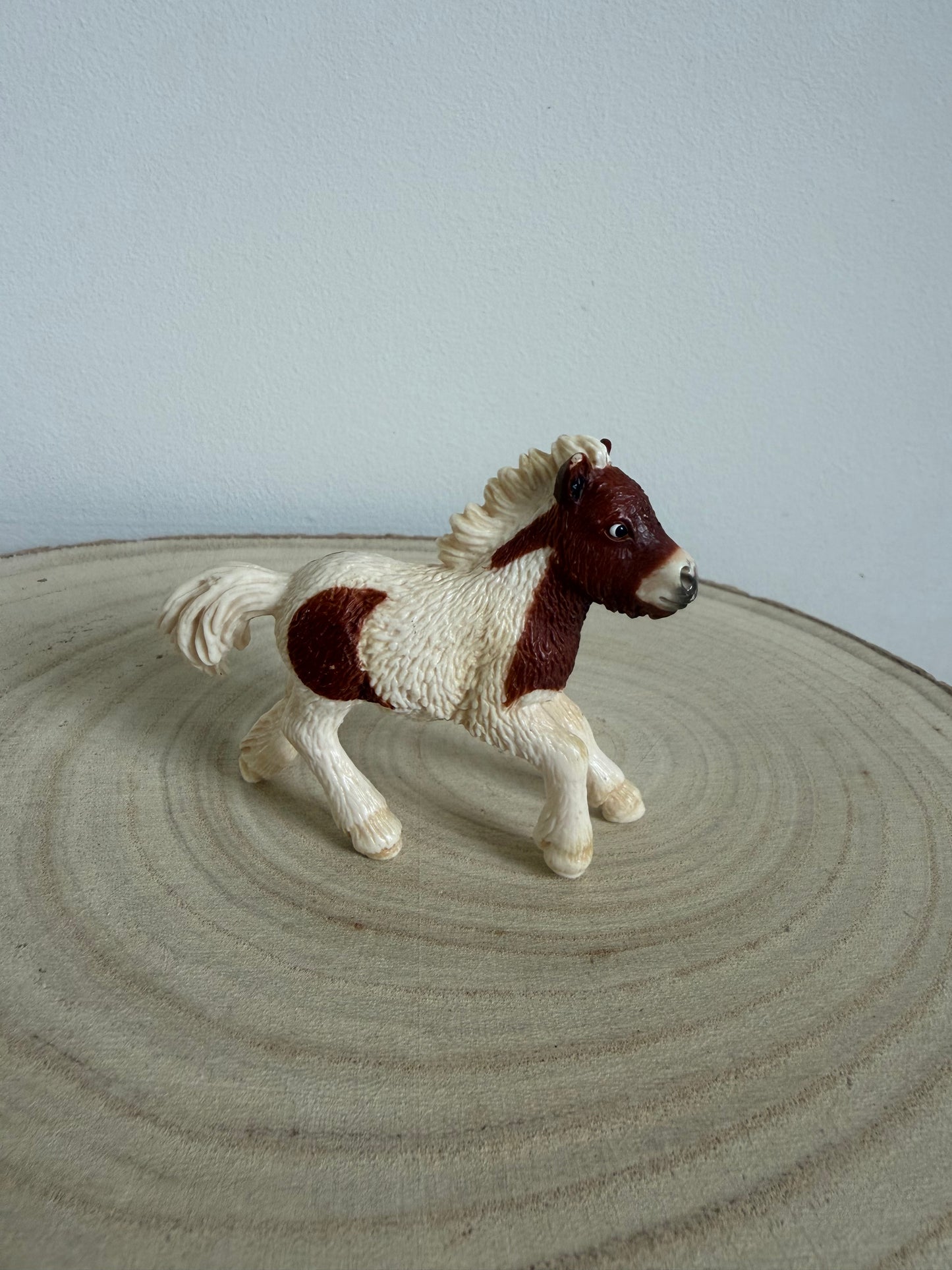 ✨Re-Loved Rockstar Shetland– foal retired