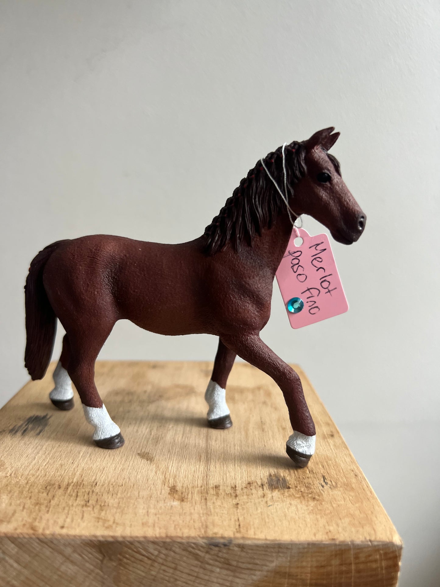 ✨Re-Loved Rockstar  – Paso Fino✨Malbec