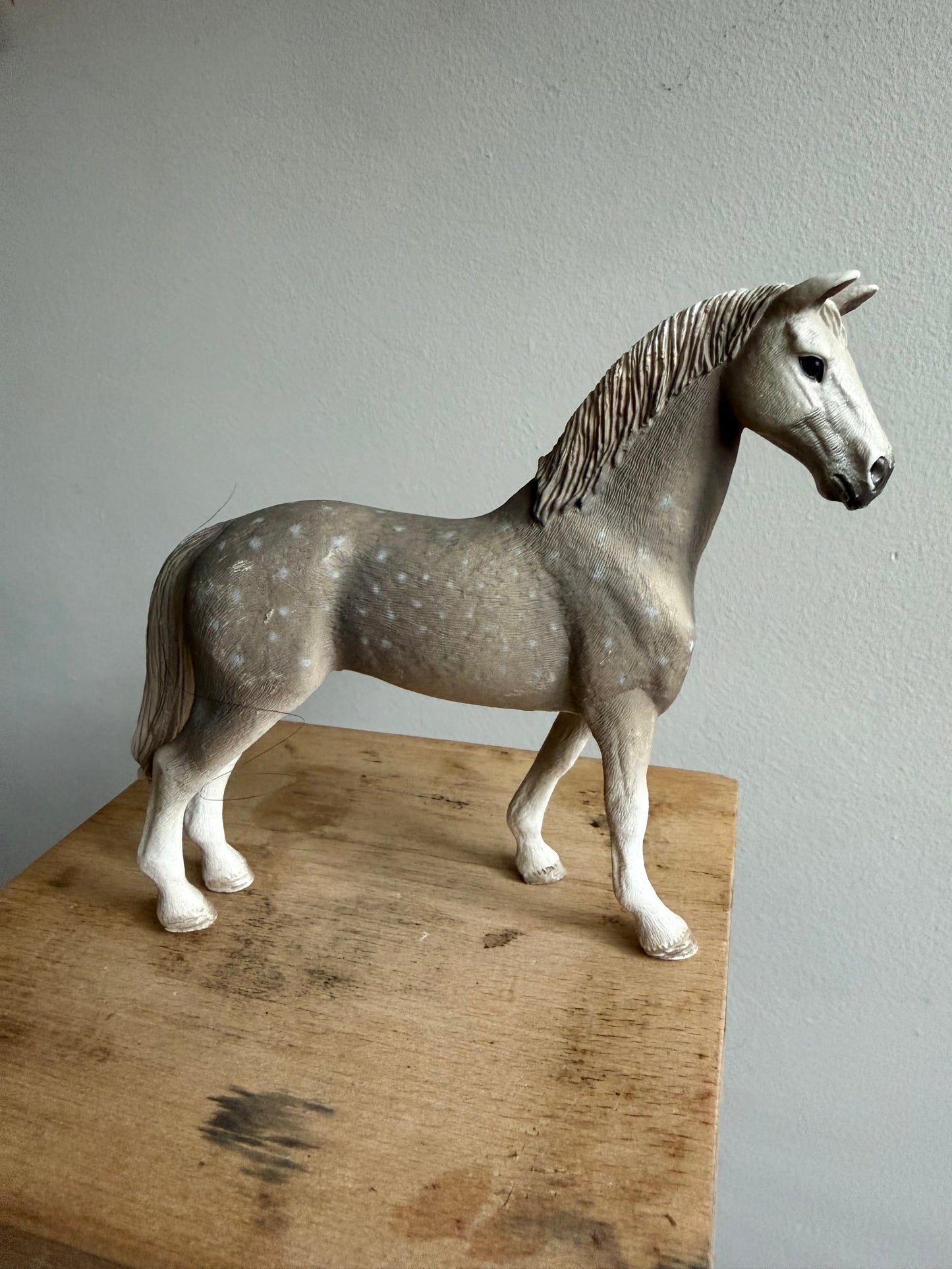 ✨Re-Loved Rockstar  – Holsteiner Gelding ✨Lukas