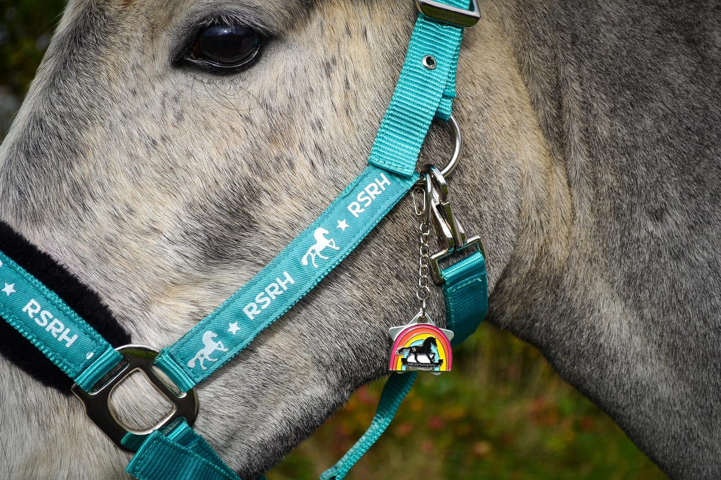 Rock Star Rocking Horse Head Collar - Rebel Teal