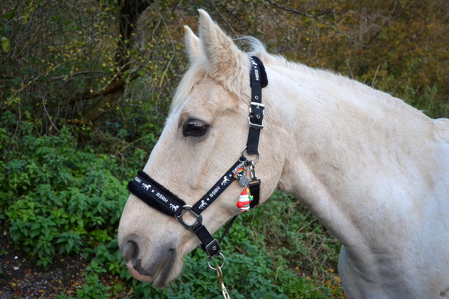 Rock Star Rocking Horse Head Collar - Rock Star Black