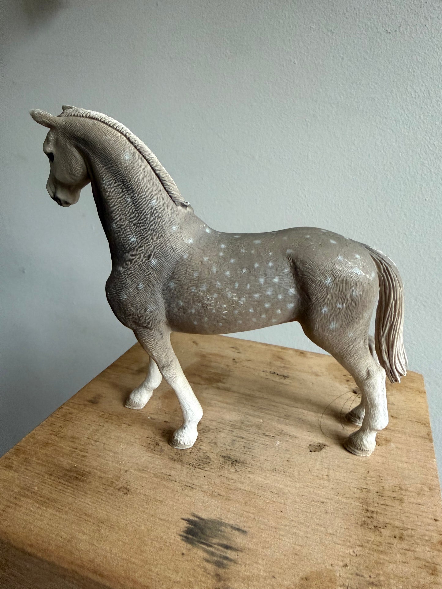 ✨Re-Loved Rockstar  – Holsteiner Gelding ✨Lukas