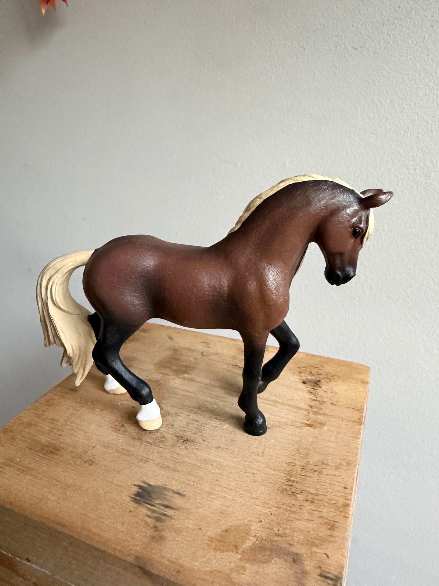 ✨Re-Loved Rockstar – Peruvian Paso Stallion- Donatello✨