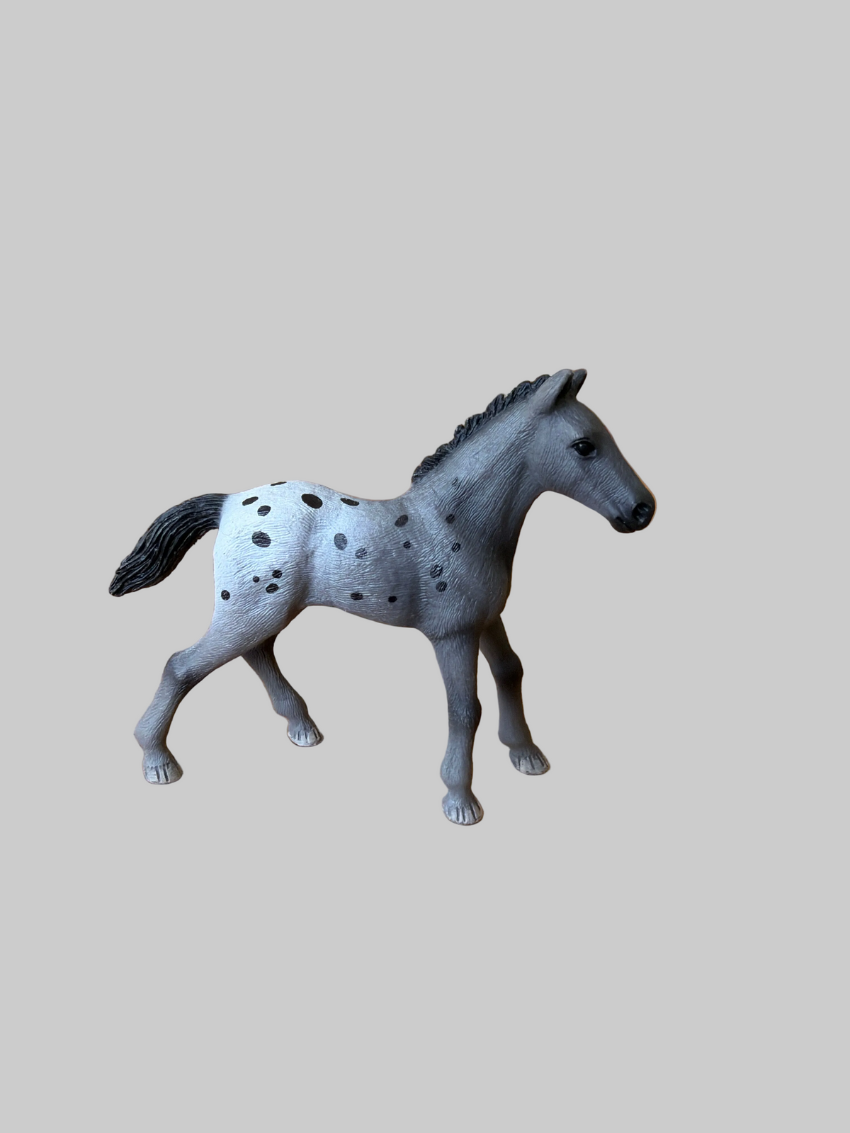 ✨ Re-Loved Rockstar Appaloosa Foal – spots✨