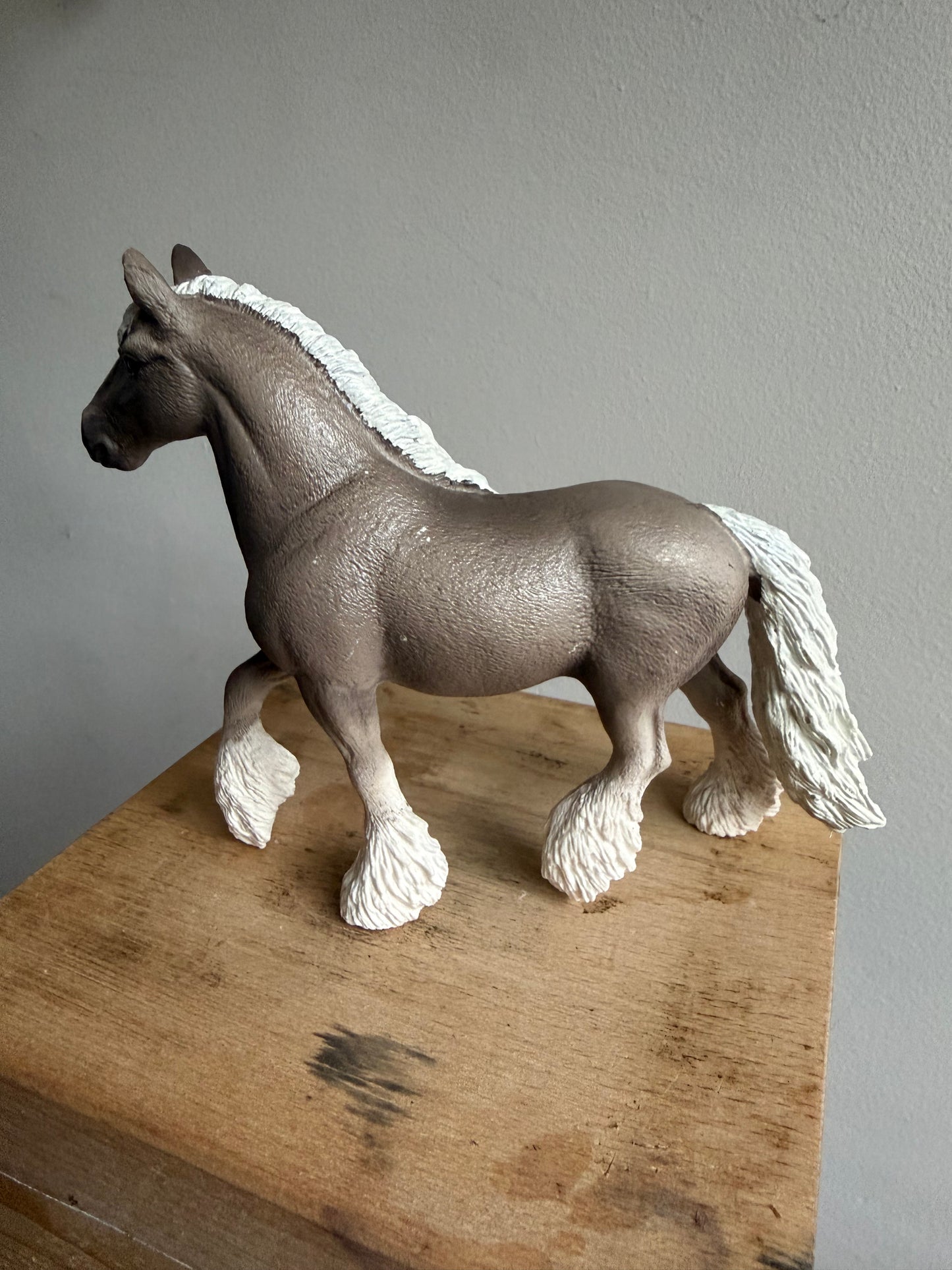 ✨Re-Loved Rockstar Silver Dapple Mare – ✨Celeste