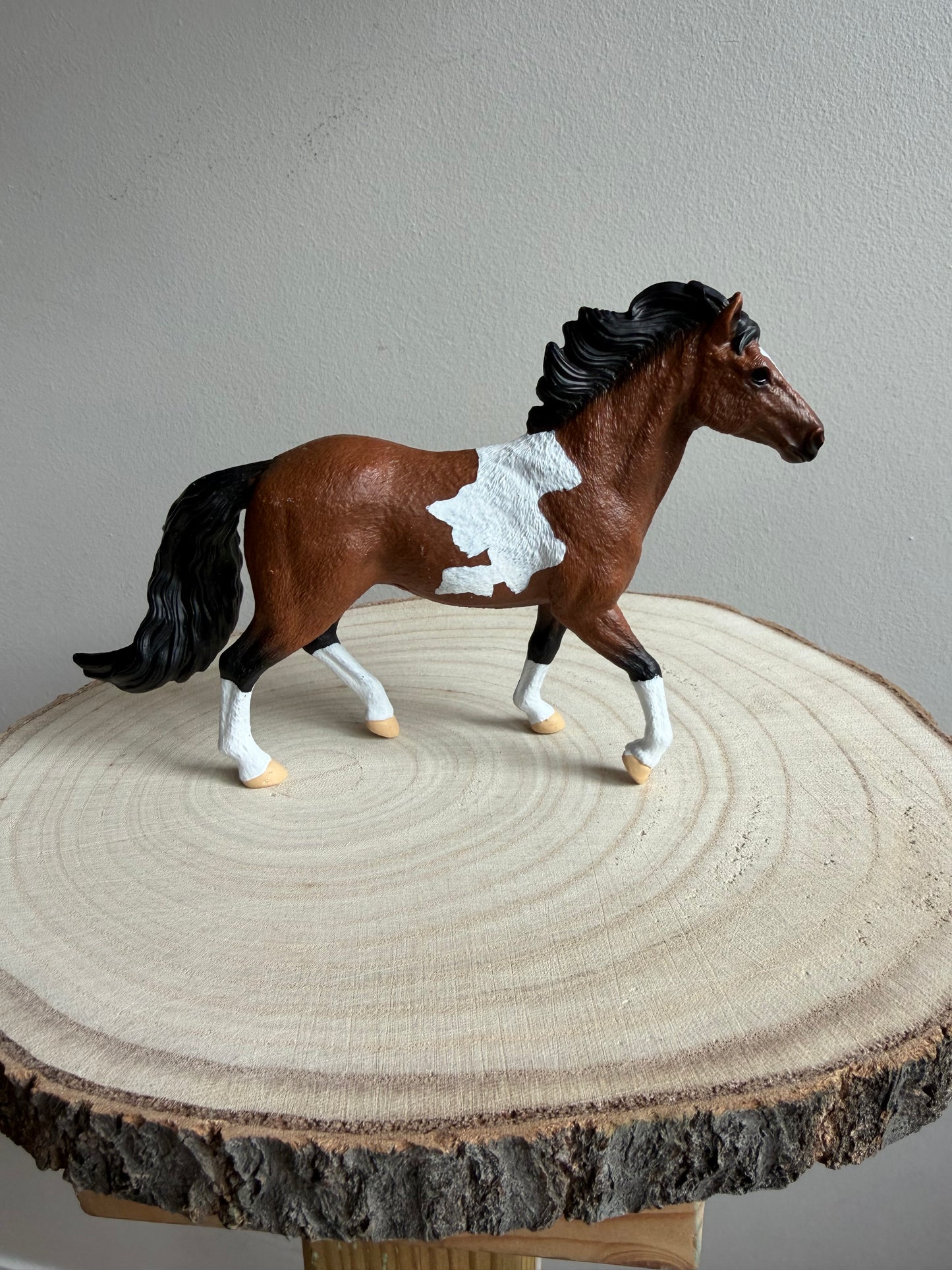 ✨Re-Loved Rockstar Mangalarga Marchador Stallion– Buzz✨