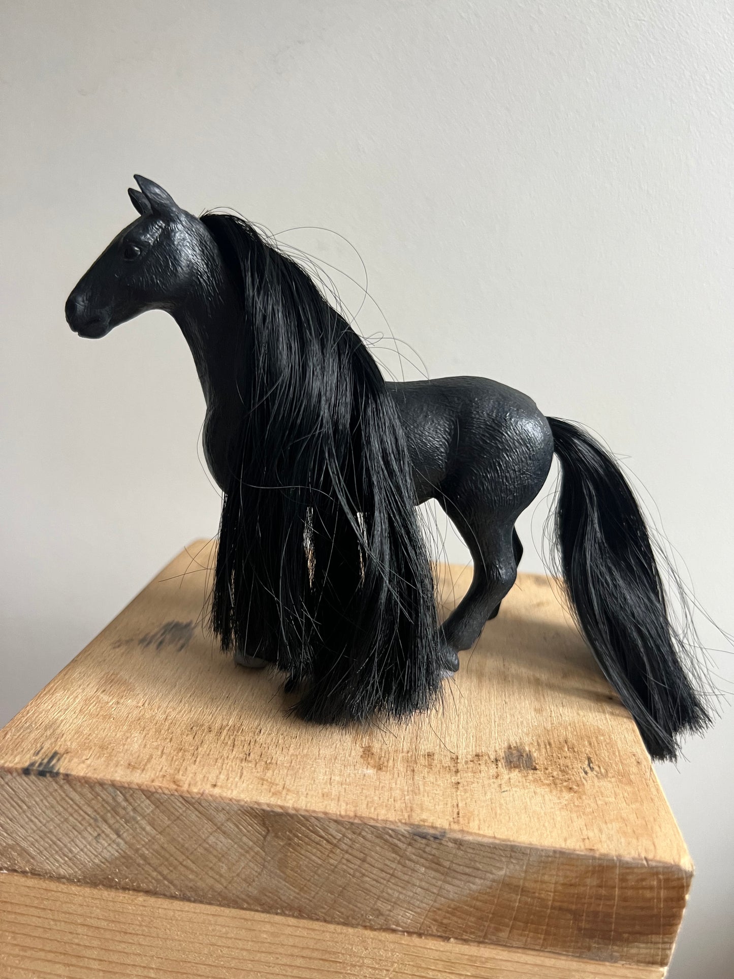 ✨Re-Loved Rockstar  – Freisian Stallion Sofia’s beauty horse✨Nero