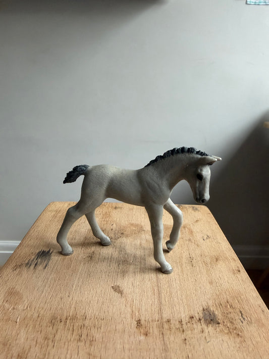 ✨ Re-Loved Rockstar Trakehner Foal –✨